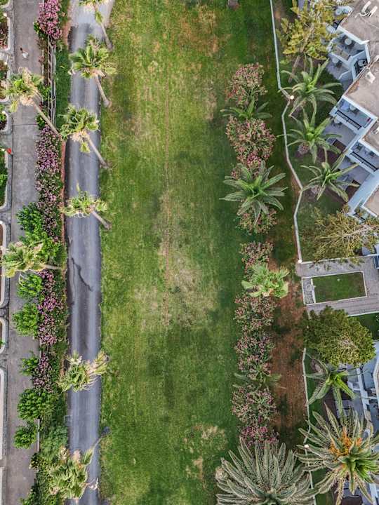 Gartenanlage Hotel Asimenia Beach