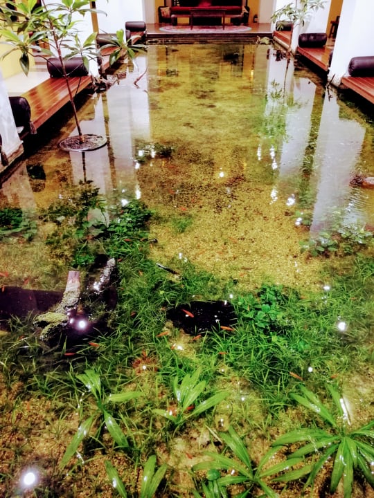 Sonstiges Hotel Shanghai Mansion