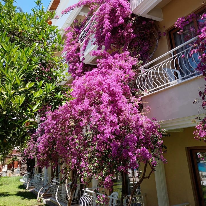 Garten Tu Casa Gelidonya Hotel