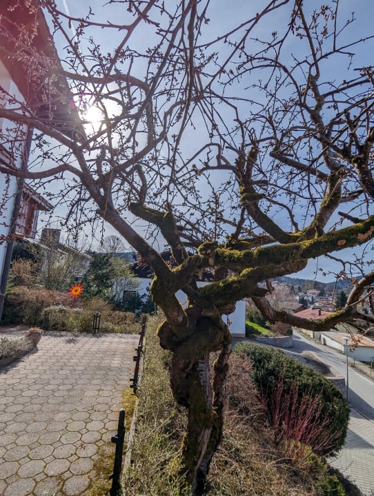 Gartenanlage Landhaus Meine Auszeit