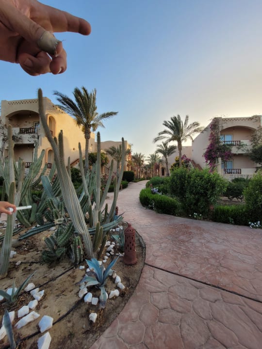 Gartenanlage Dream Lagoon Resort & Aqua Park