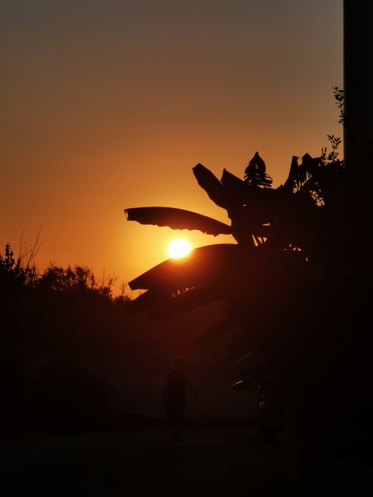 Ausblick Hotel Kathrin Beach