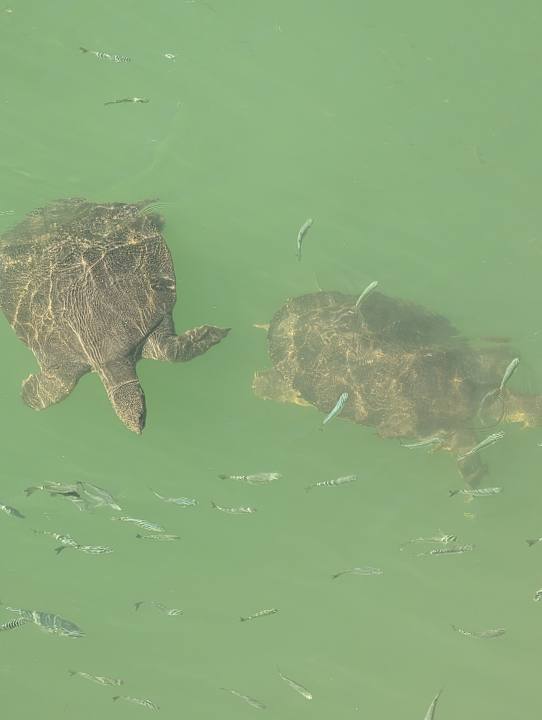 Sport & Freizeit Club Sidelya Hotel