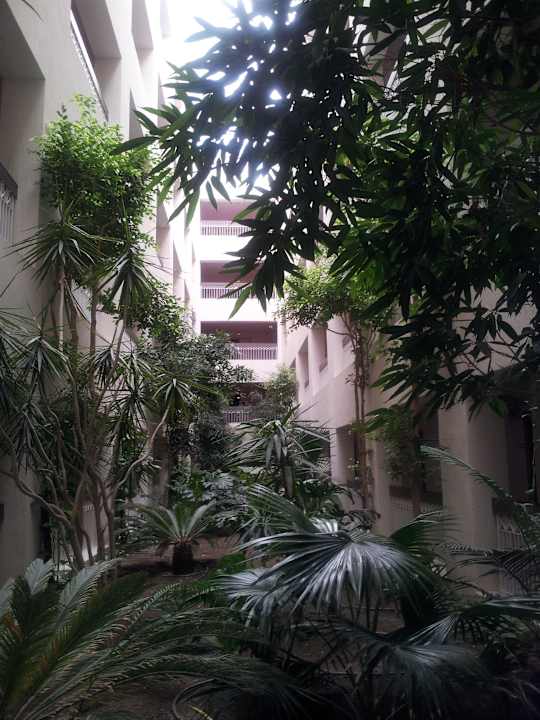 Indoor-Grünlandschaft im Erdgeschoss Hotel Rosa Beach
