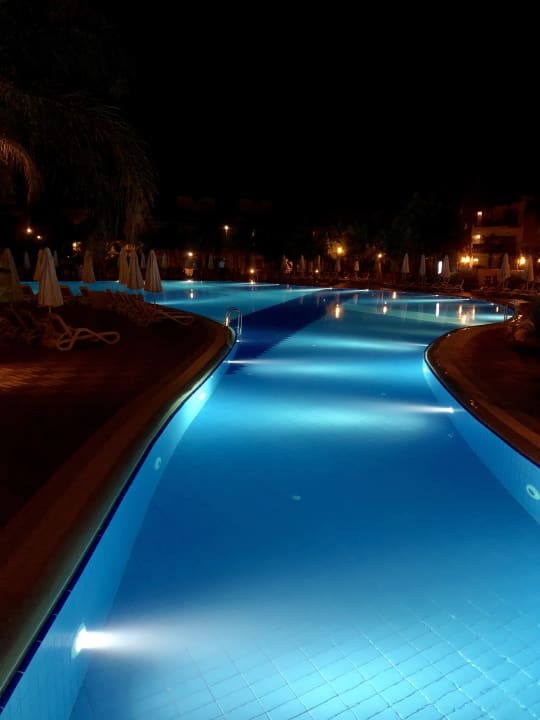 Pool Paloma Oceana