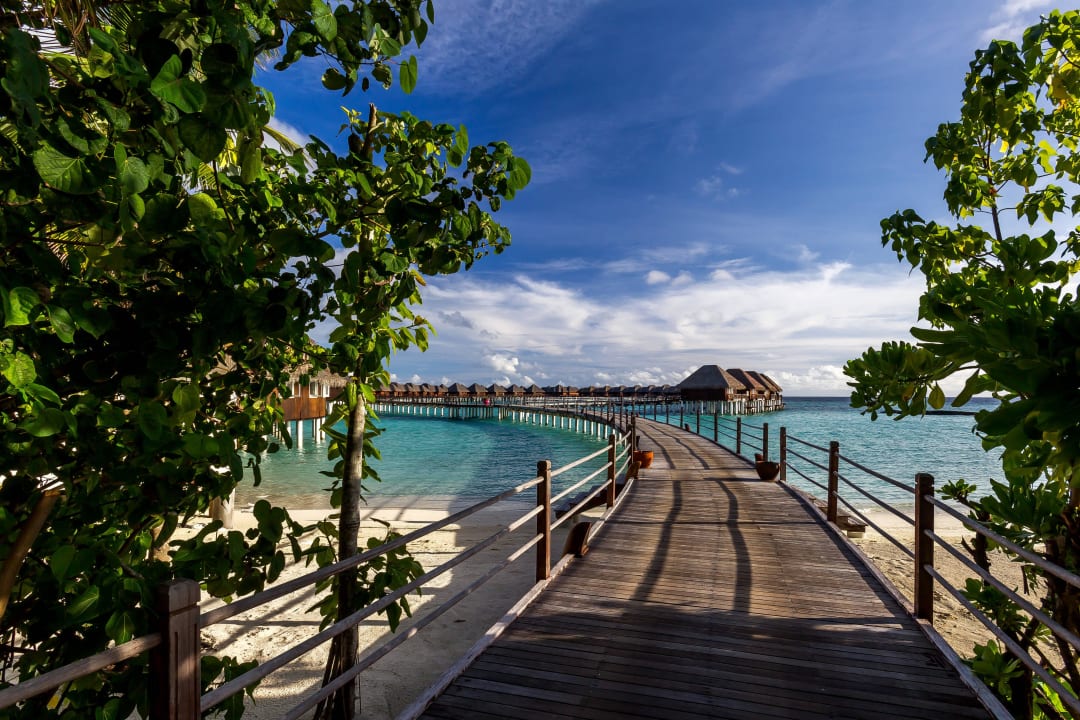 Zu den Wasservillen Sun Siyam Vilu Reef