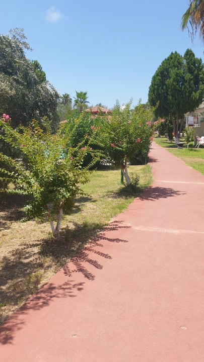 Gartenanlage Heaven Beach Aparthotel