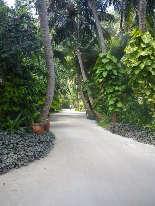 Gehwege alles Tip Top sauber!!! Kuramathi Maldives