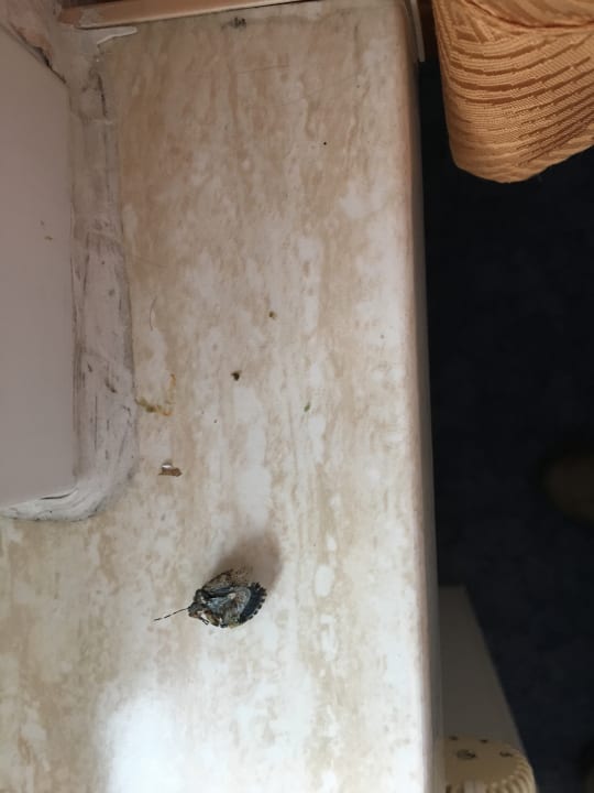 Zimmer Zum Harzer Jodlermeister