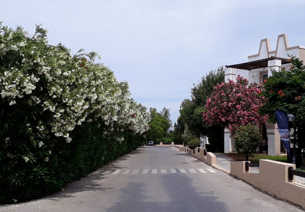 Außenansicht Hotel Gaia Palace