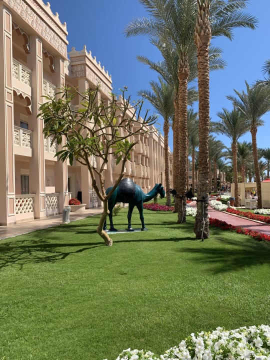 Gartenanlage Pickalbatros Palace Resort