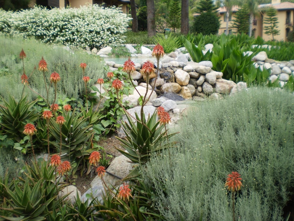 Paradies Asteria Family Belek