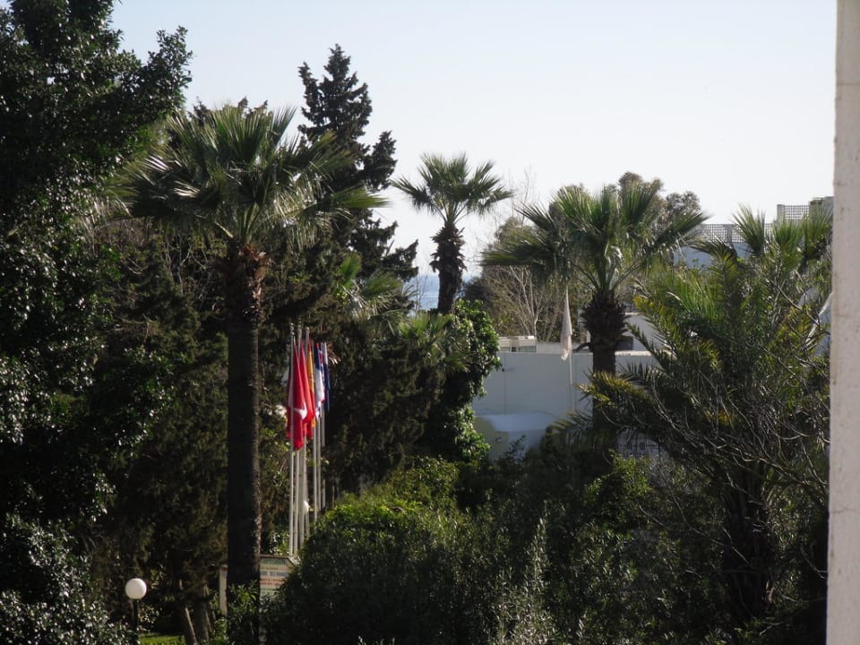 Traumblick vom Zimmer The Orangers Beach Resort and Bungalows