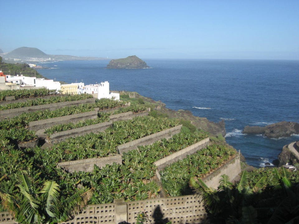 "Blick auf die Plantage" Hotel Rural El Patio (Garachico