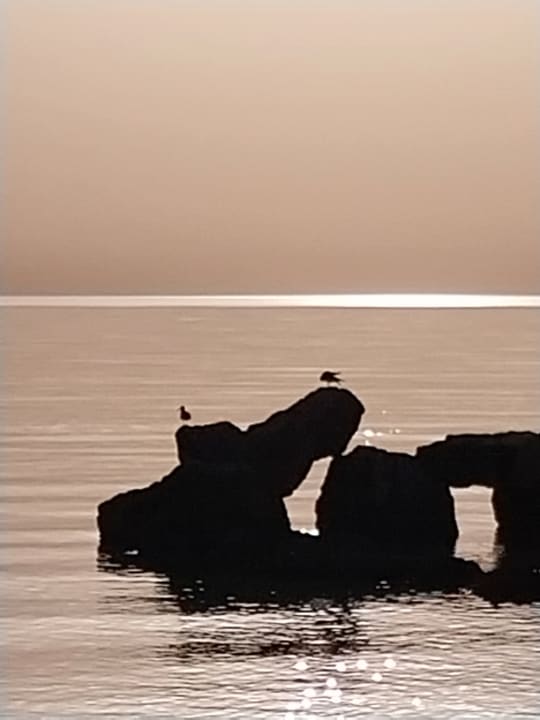 Strand Pickalbatros Citadel Resort