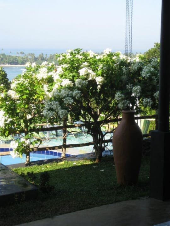 Blick von der Terrasse Hotel Panorama