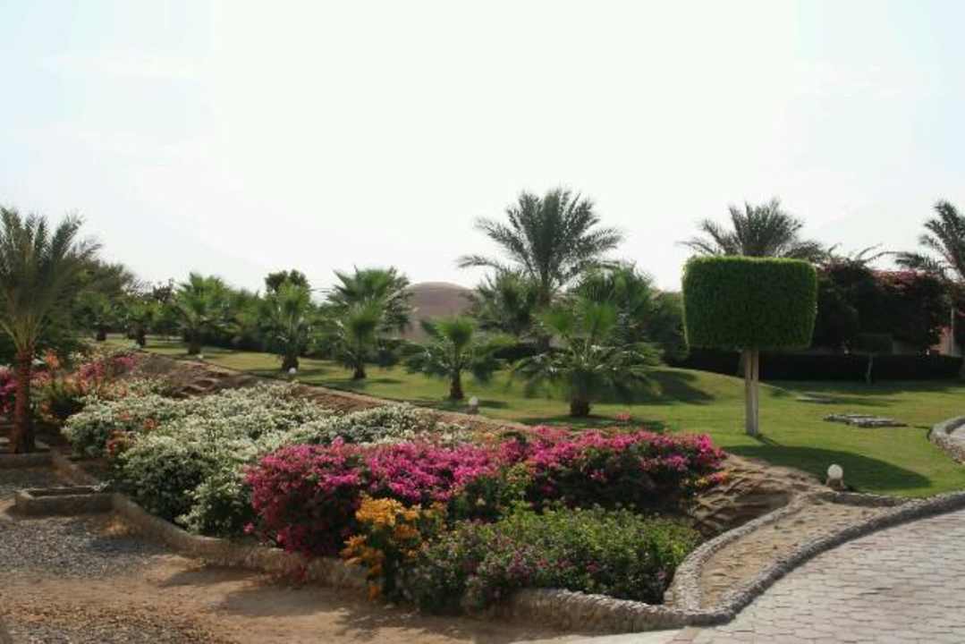 Garten Three Corners Sea Beach Resort