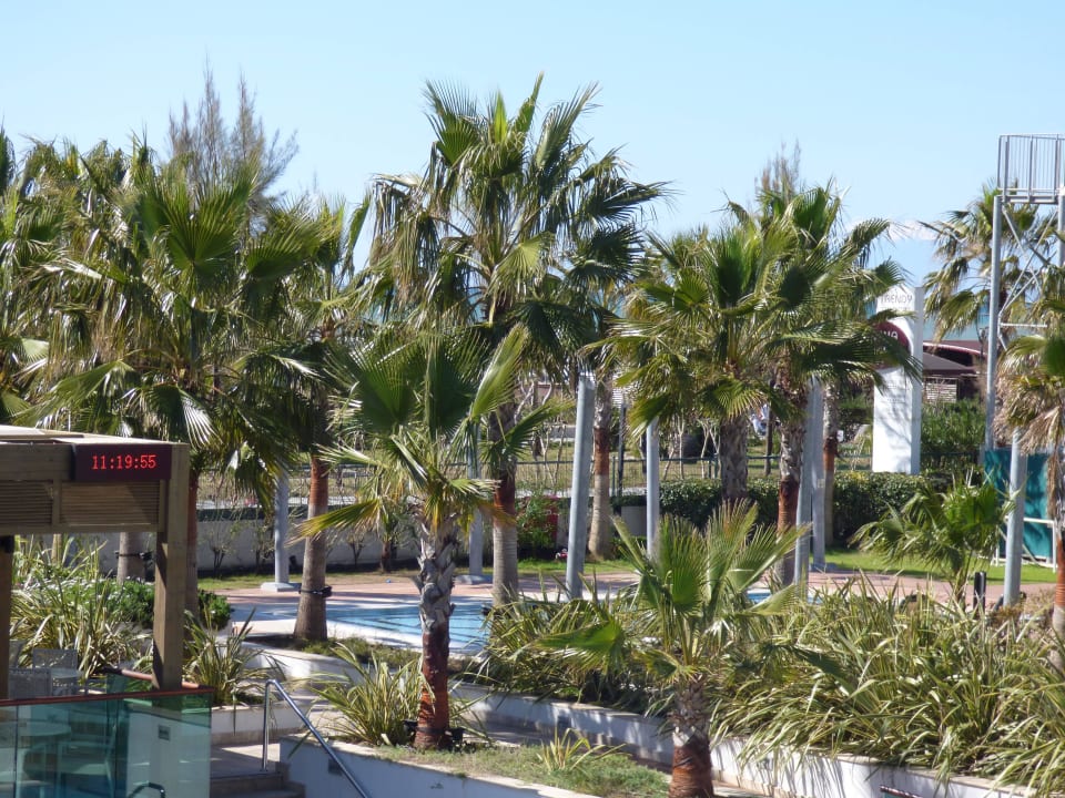 Blick von der Dachterrasse Sentido Trendy Verbena Beach