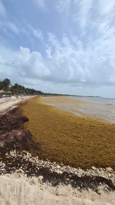 Strand TRS Yucatan Hotel - Adults only