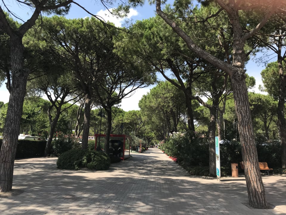Gartenanlage Camping Union Lido