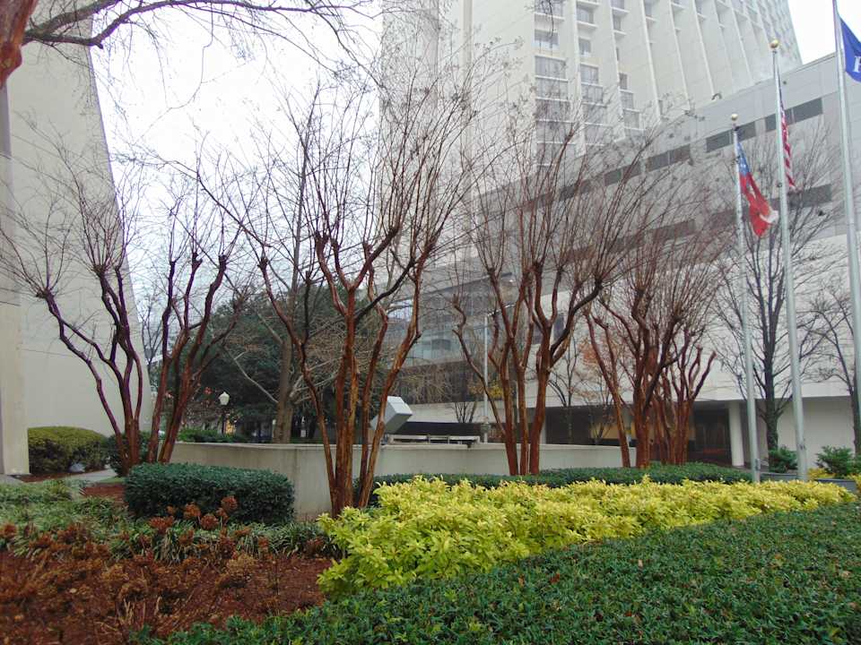 Gartenanlage Hotel Hilton Atlanta