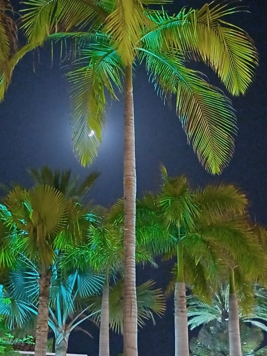 Gartenanlage H10 Playa Meloneras Horizons Collection