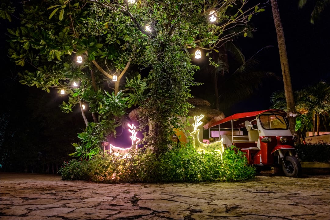 Gartenanlage Zazen Boutique Resort & Spa