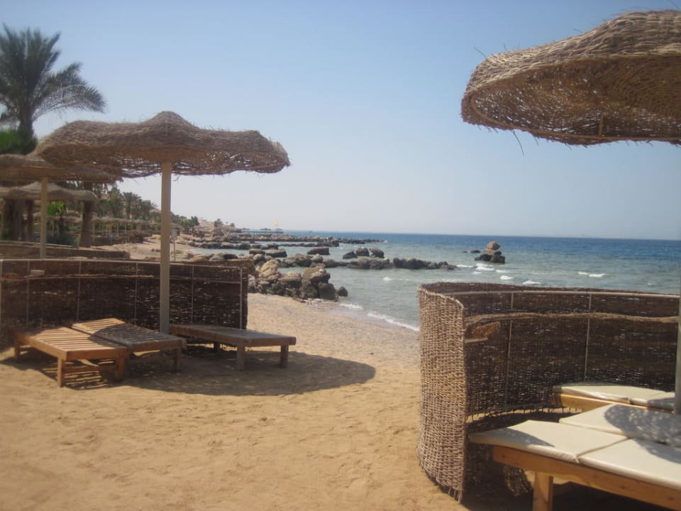 Strand mit Liegen Pickalbatros Citadel Resort