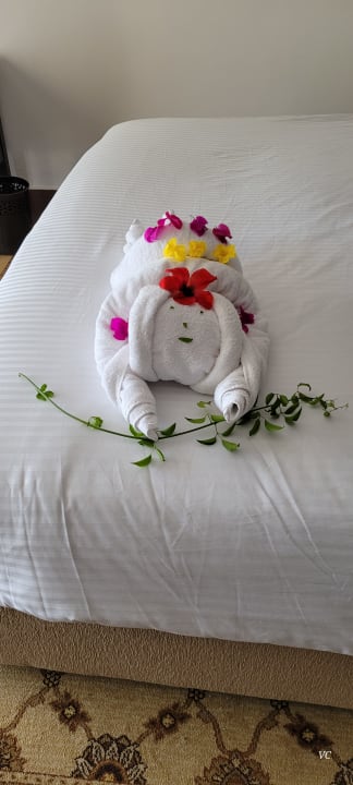 Zimmer Steigenberger Makadi Hotel - Adults only