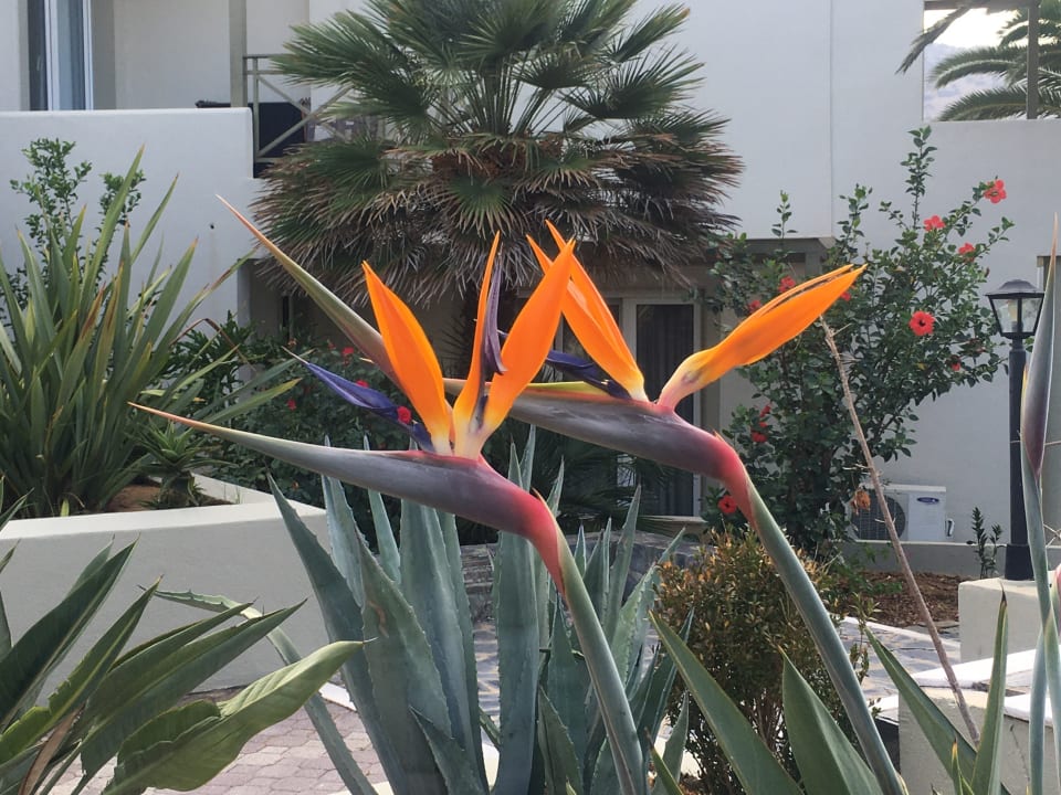 Sonstiges HARPIN Georgioupolis Resort Aquapark & SPA