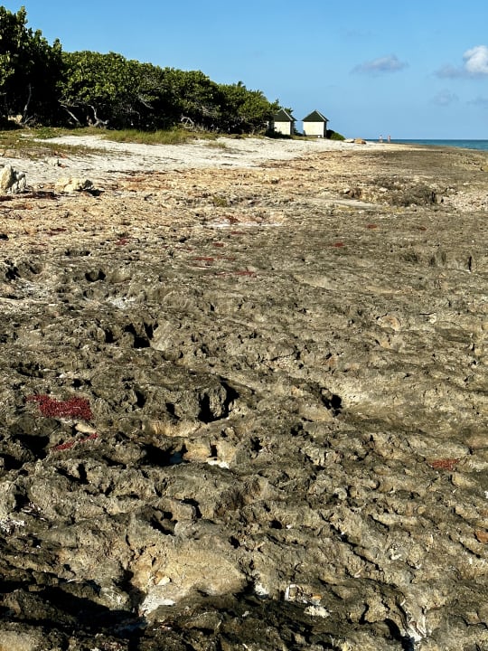 Strand Paradisus Varadero Resort & Spa