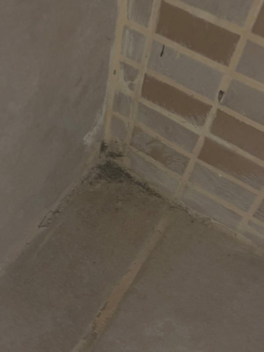 Zimmer Acapulco Beach Club & Resort