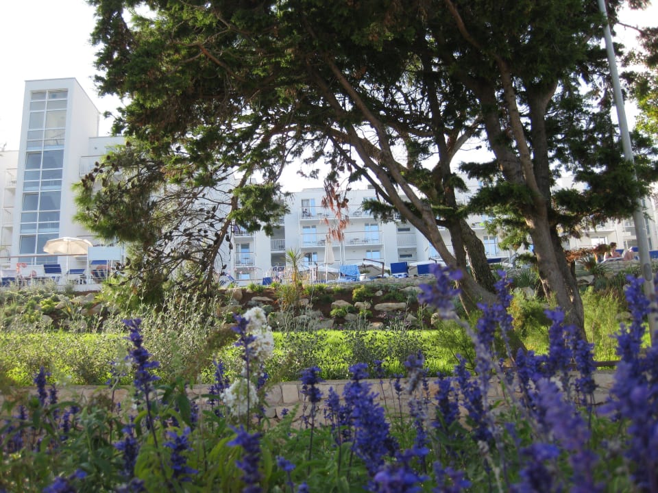 Frontansicht vom Meer aus Valamar Sanfior Hotel & Casa