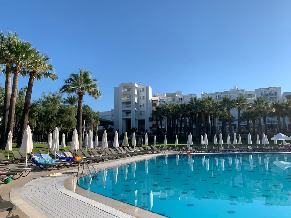 Pool Monachus Family Resort Sorgun