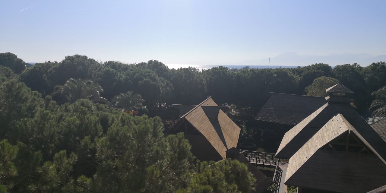 Ausblick IC Hotels Green Palace