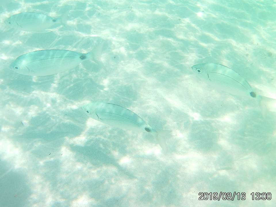 Strand Hotel Club Cala Romani