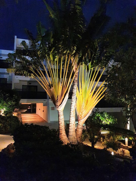 Gartenanlage Sol Fuerteventura Jandia - All Suites