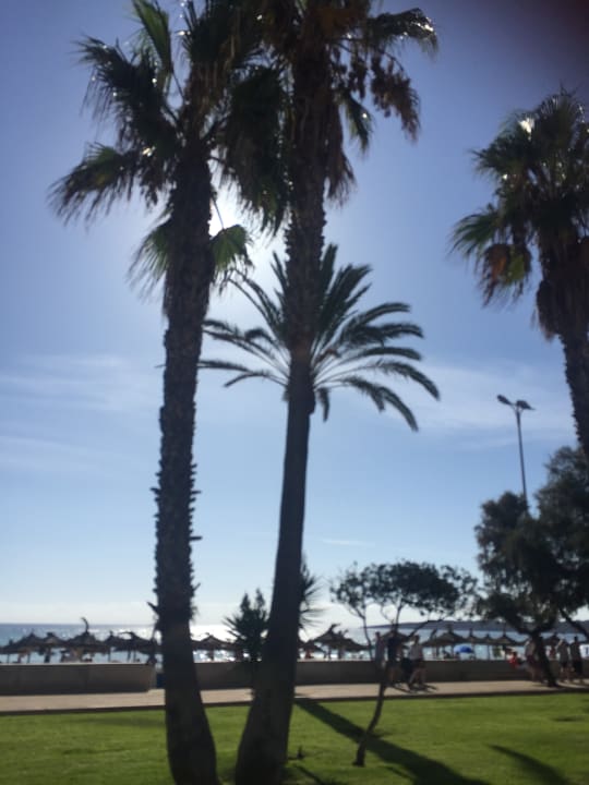 Gartenanlage Hotel Marins Suites - Adults only