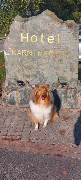 Sonstiges Hotel Kärntnerhof