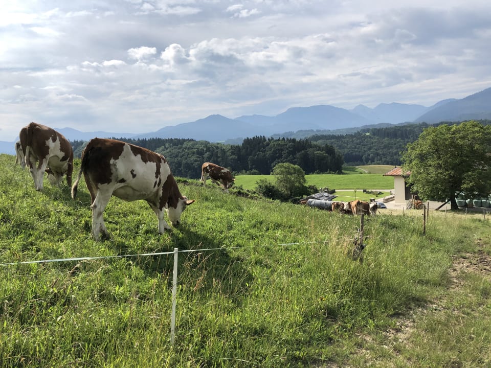 Ausblick Daxlberger Hof