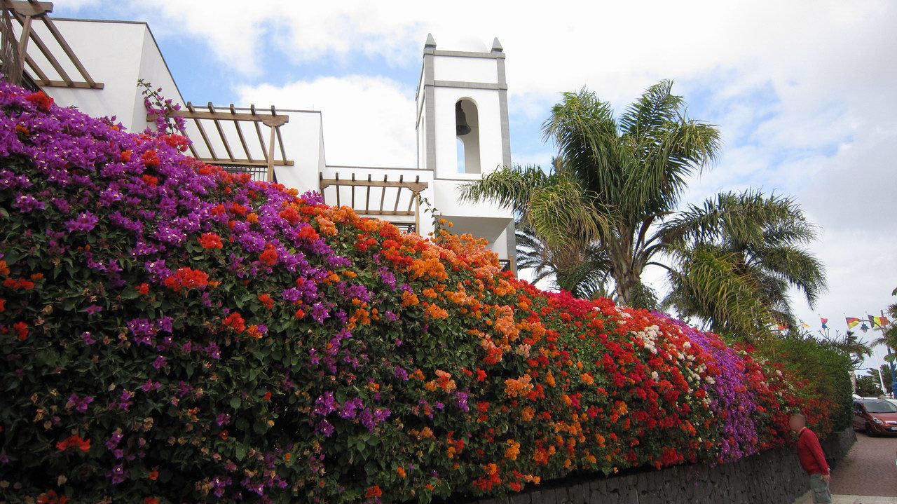 Garden Princesa Yaiza Suite Hotel Resort
