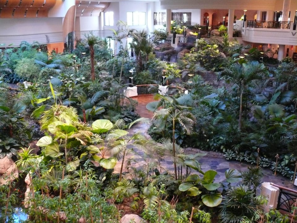 Die Lobby Grand Hyatt Dubai