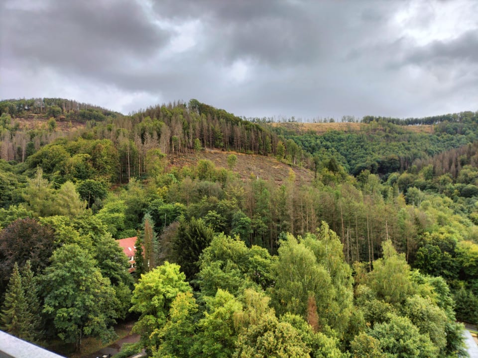 Ausblick Panoramic - Ihr Apartmenthotel im Harz