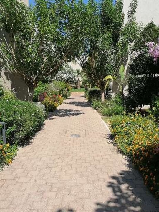 Gartenanlage Atlantica Aegean Blue