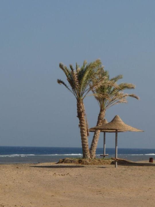 Blick aus dem Zimmer 4106 Malikia Resort Abu Dabbab