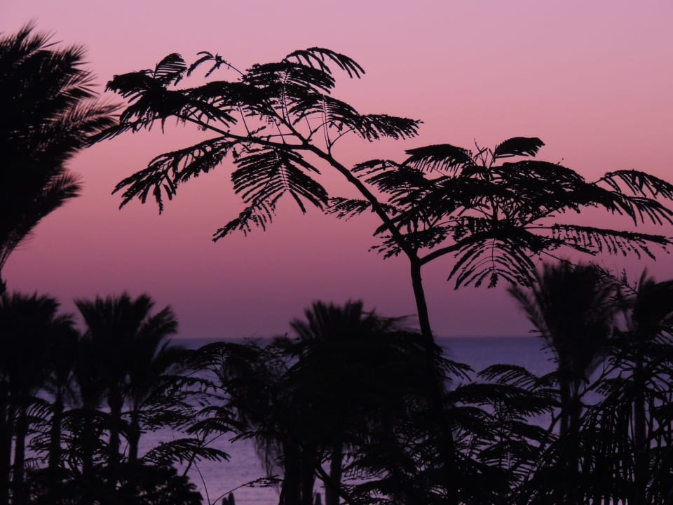Sonnenaufgang Makadi Spa - Adults only