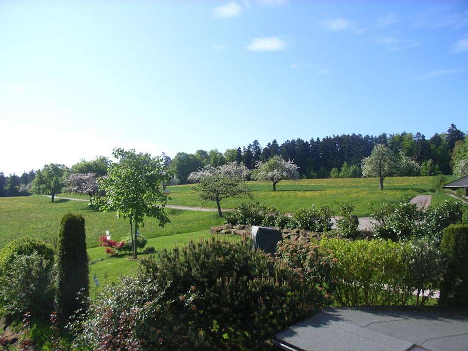 Ausblick vom Balkon Landhotel Talblick