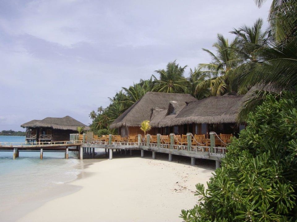 Bar des Blue Lagoon Kuramathi Maldives