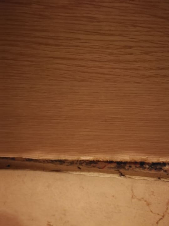 Zimmer Gardenia Hotel