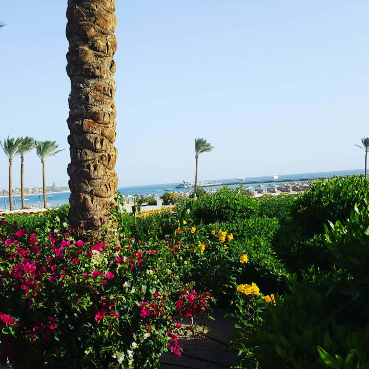 Garten  Cleopatra Luxury Resort Makadi Bay